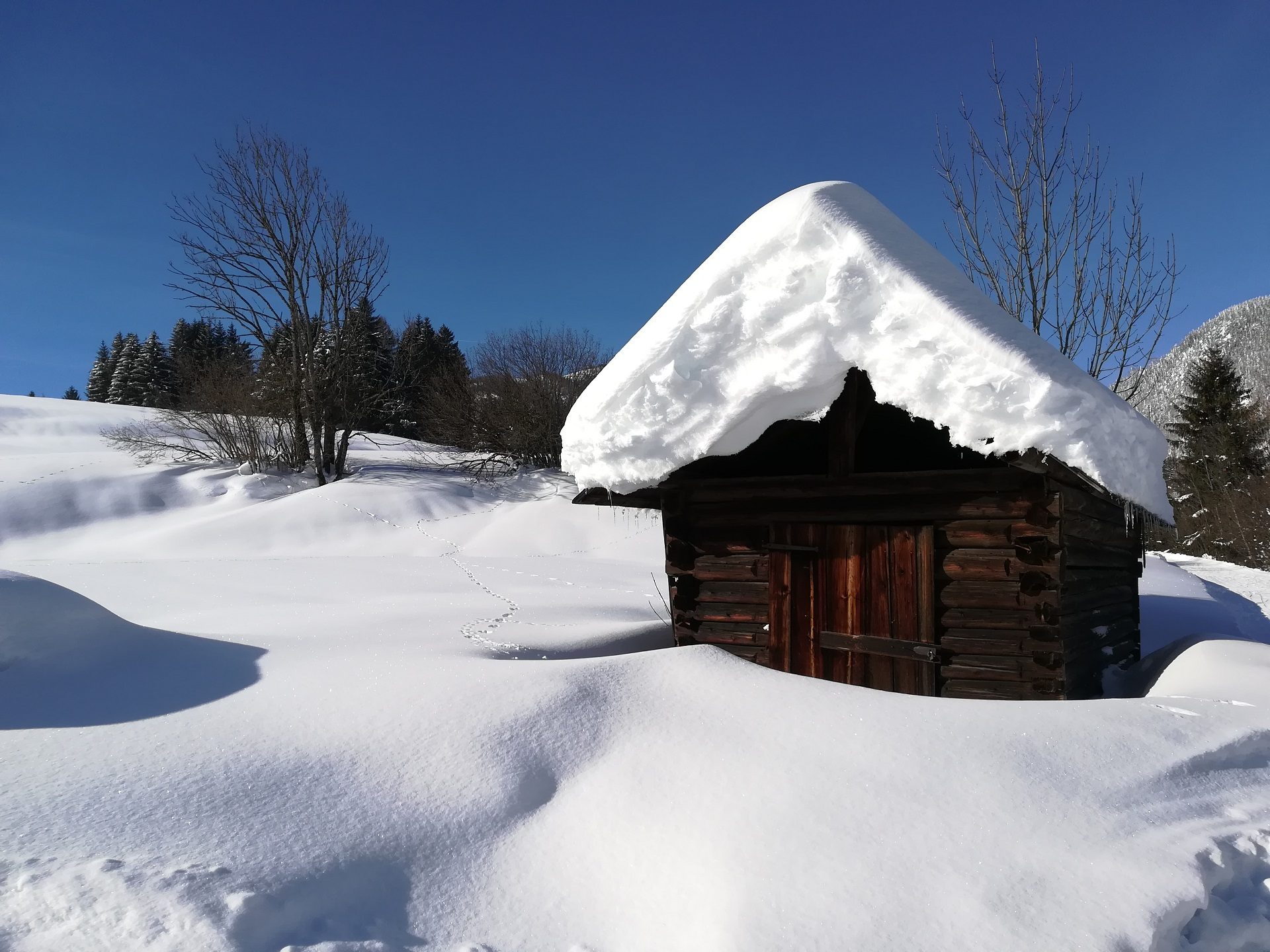 Gruppe von Schneeschuhwanderern im Aufstieg in den Schweizer Alpen